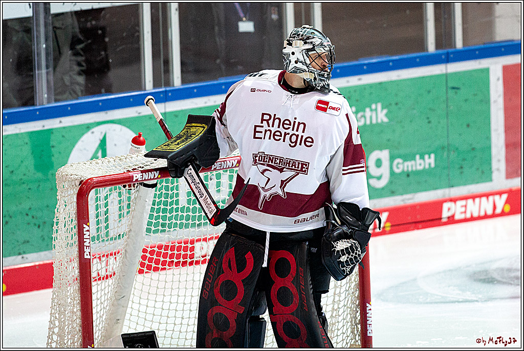 PENNY DEL;  Iserlohn Roosters - Koelner Haie; Iserlohn, 05.02.2021